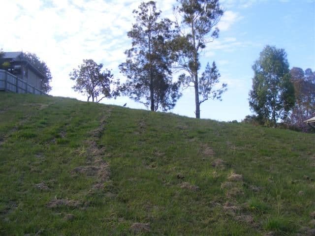 6 Thames Place, Kearns, NSW, 2558, Kearns - Thumbnail 2