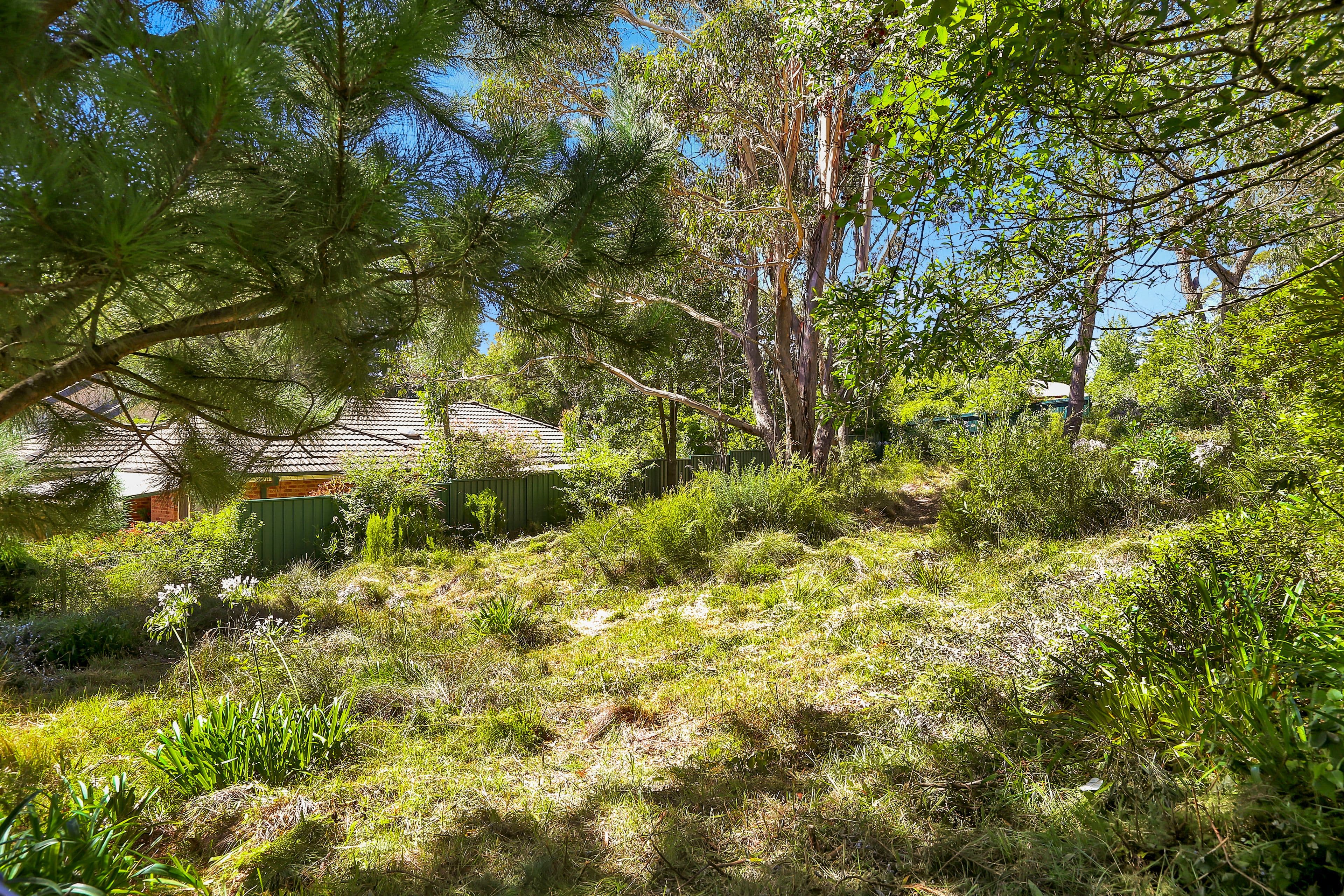 9 Irvine Avenue, Blackheath NSW 2785, Blackheath - Thumbnail 3