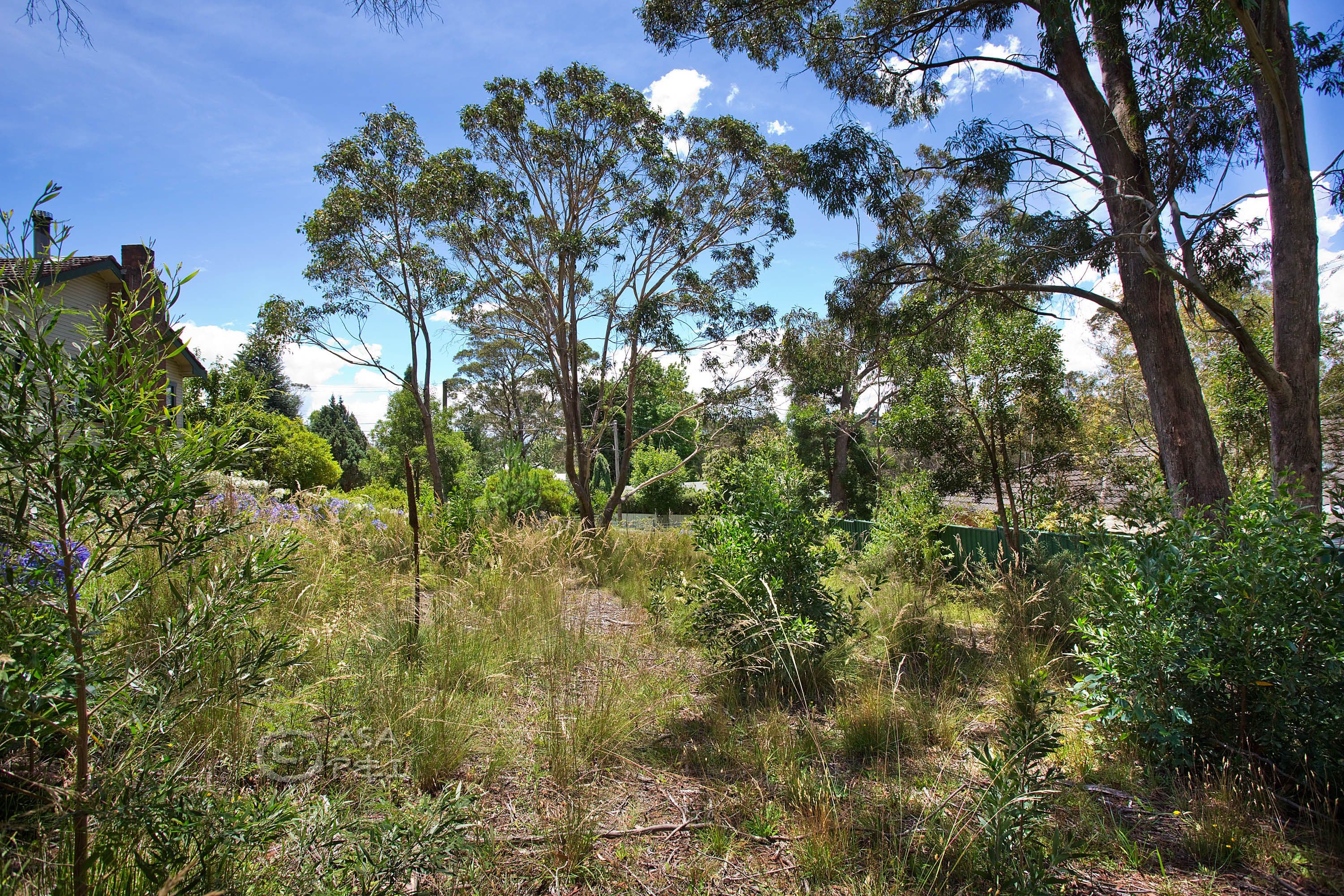 9 Irvine Avenue, Blackheath NSW 2785, Blackheath - Thumbnail 4