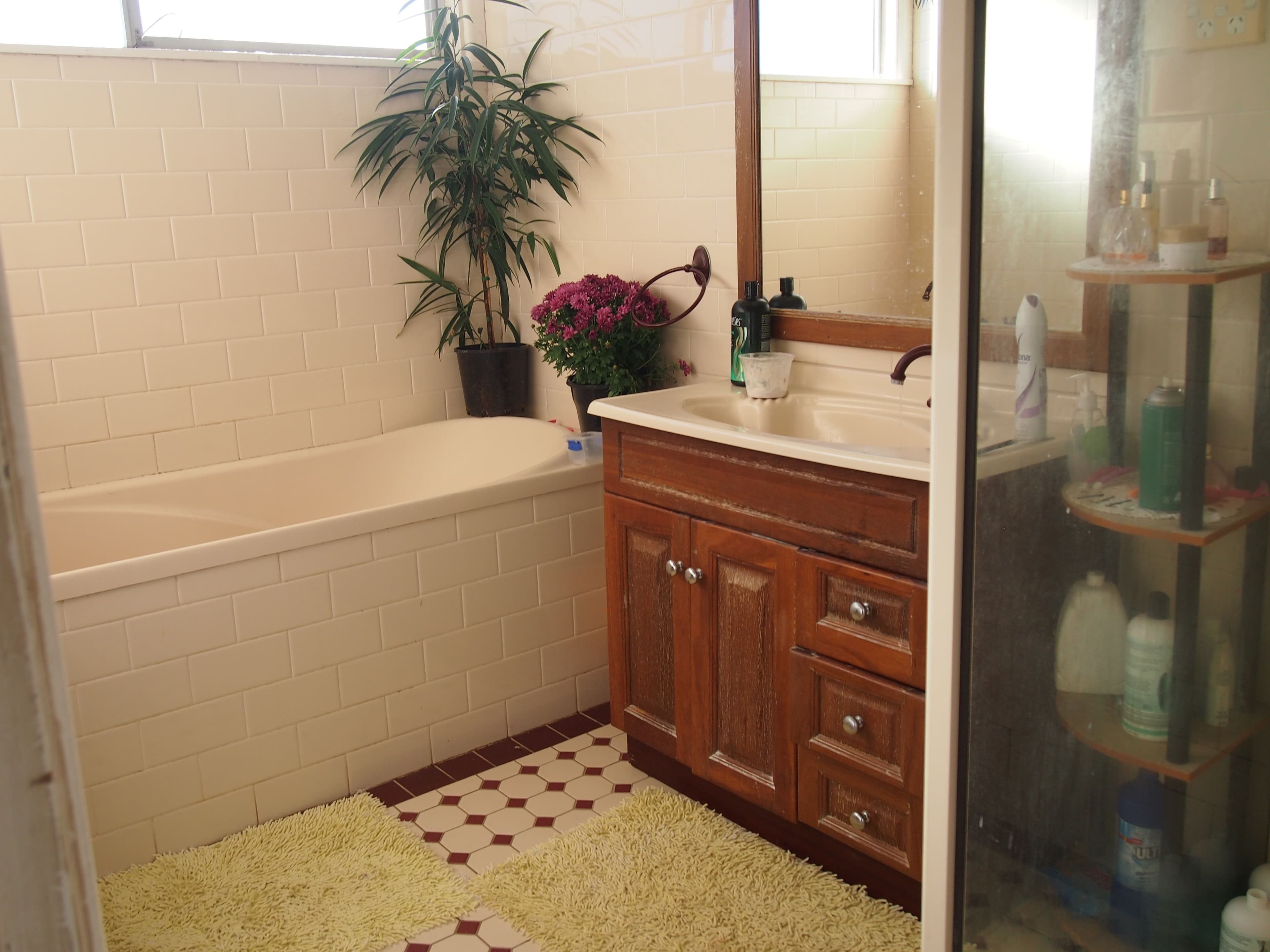 120 Orange Street, Condobolin - Thumbnail 4