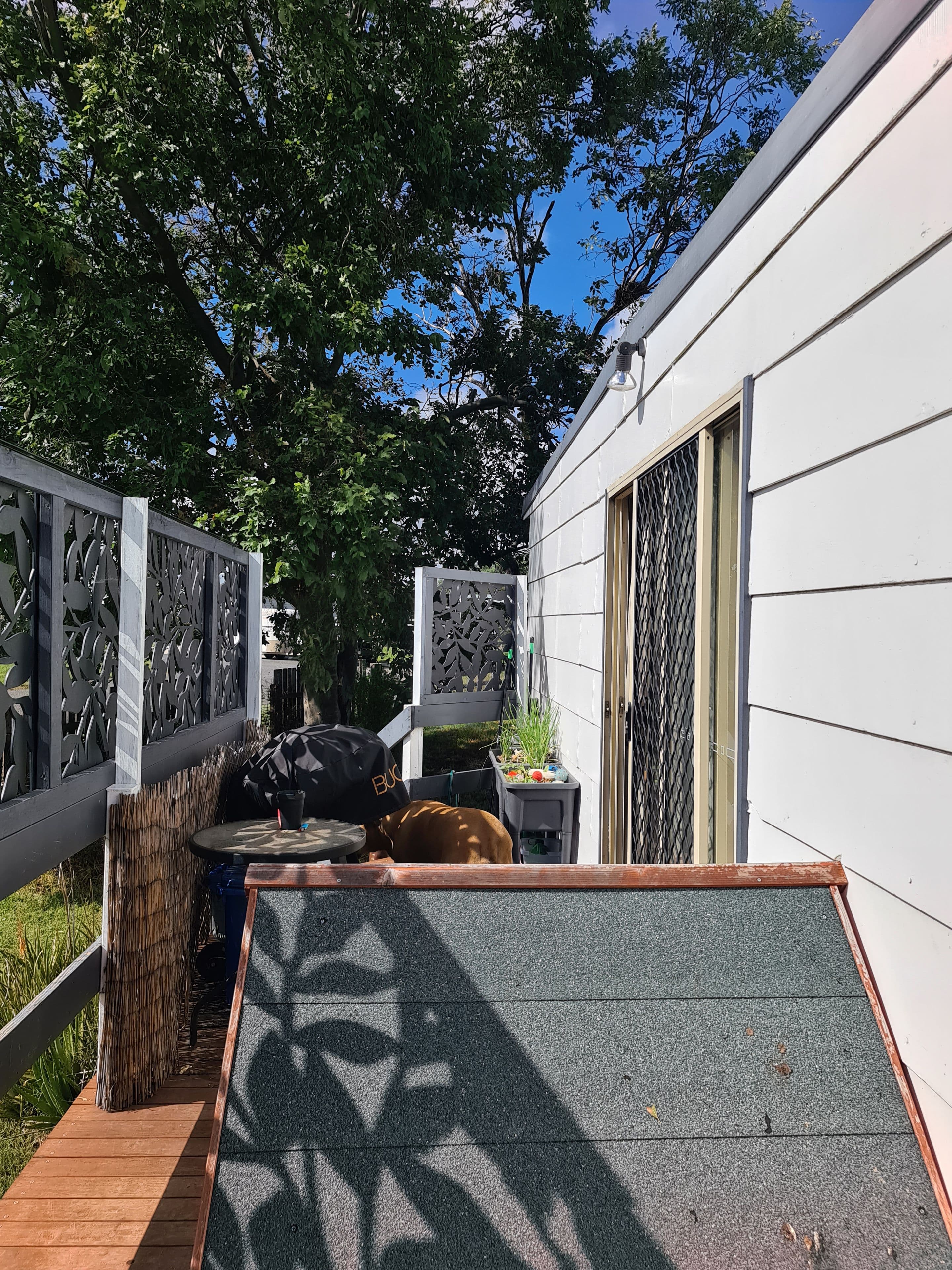 12 Glencoe Street, Warwick QLD 4370, Warwick - Thumbnail 4