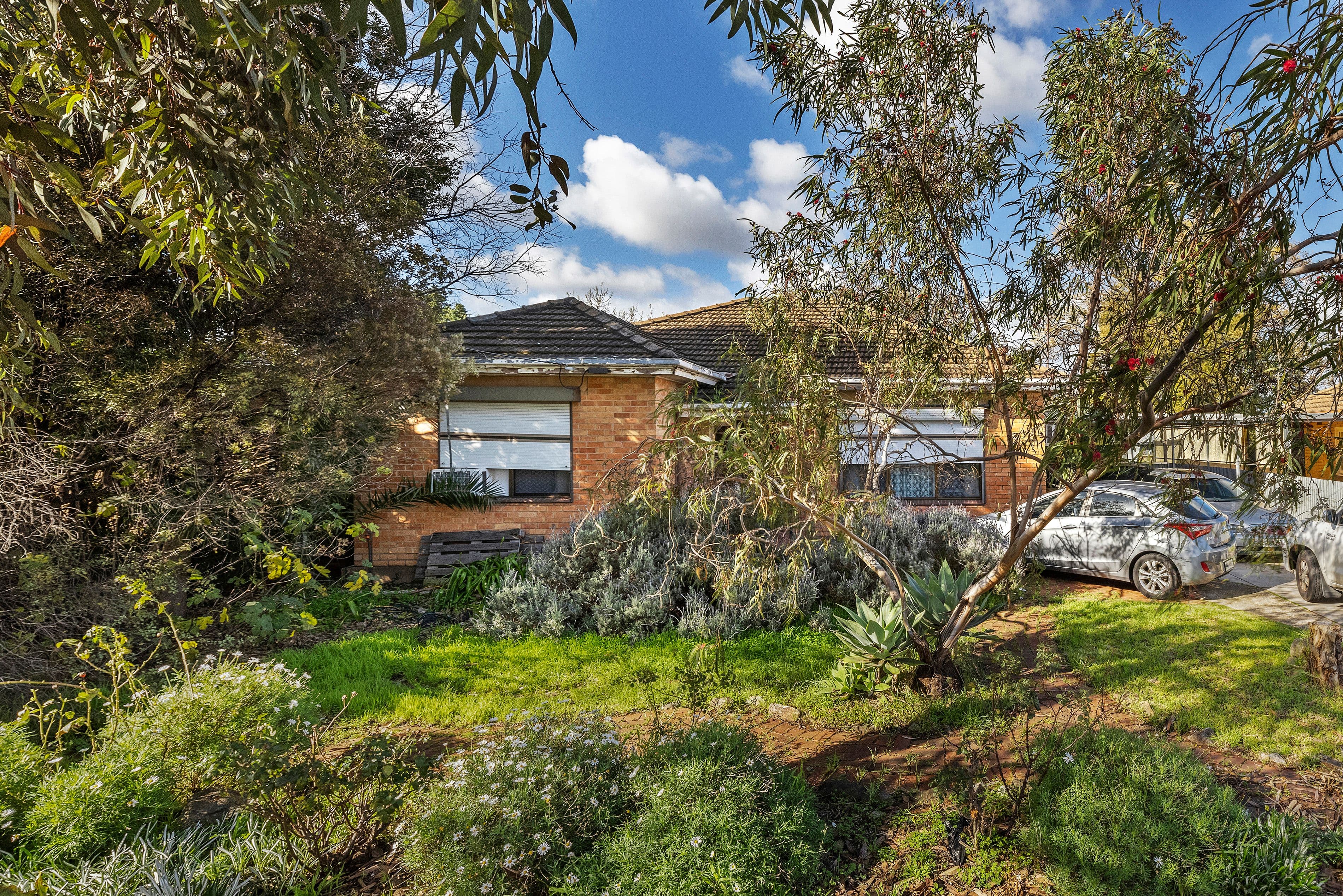 24 High Avenue, Clearview SA 5085, Clearview - Thumbnail 2