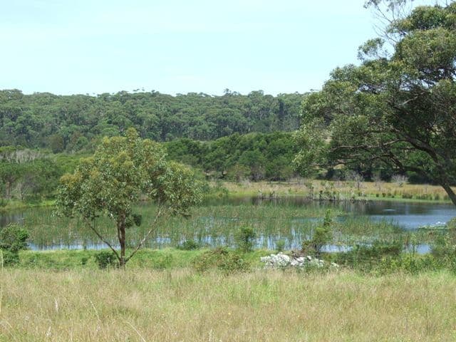 27 Bada Crescent, DOLPHIN POINT NSW 2539, Dolphin Point - Thumbnail 2