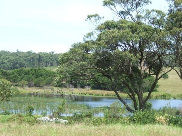 27 Bada Crescent, DOLPHIN POINT NSW 2539, Dolphin Point - Thumbnail 3