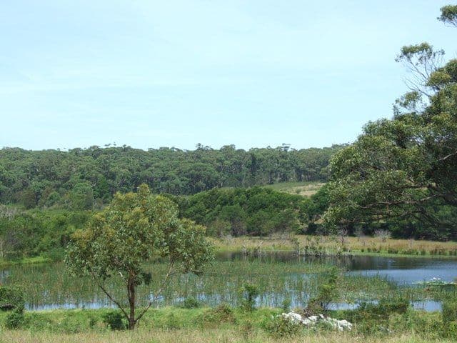 27 Bada Crescent, DOLPHIN POINT NSW 2539, Dolphin Point - Thumbnail 4