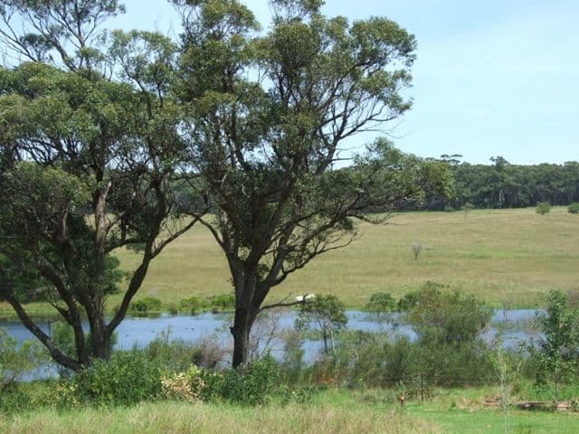 27 Bada Crescent, DOLPHIN POINT NSW 2539, Dolphin Point - Thumbnail 5