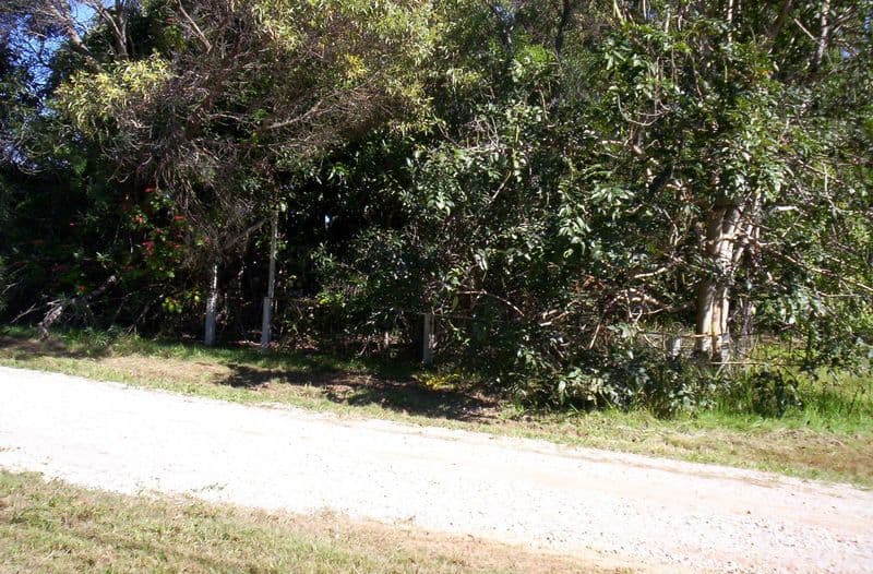 15 Oaklea Street, RUSSELL ISLAND QLD 4184, Russell Island - Thumbnail 2