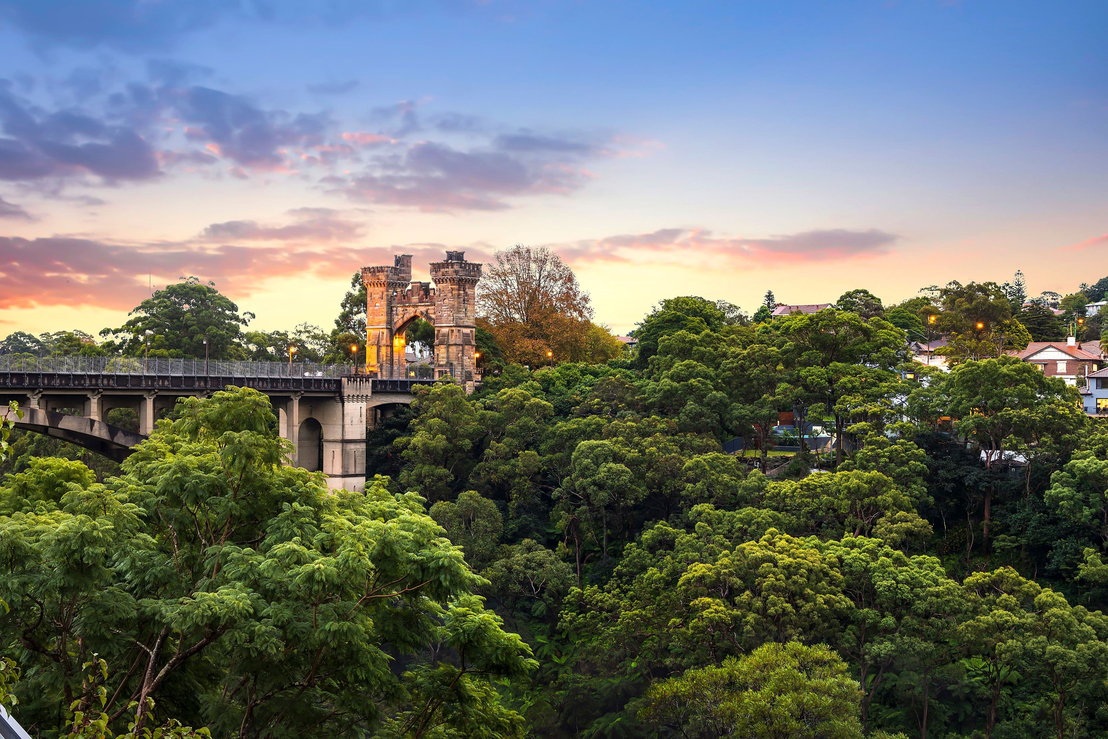 16 The Boulevarde, Cammeray NSW 2062, Cammeray - Thumbnail 3
