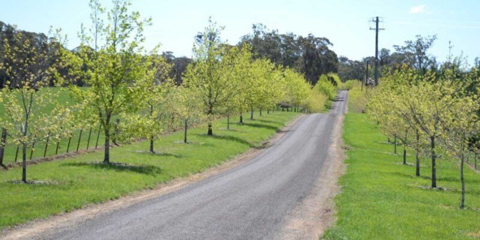 3053 Canyonleigh Road Sutton Forest, Forest - Image 1