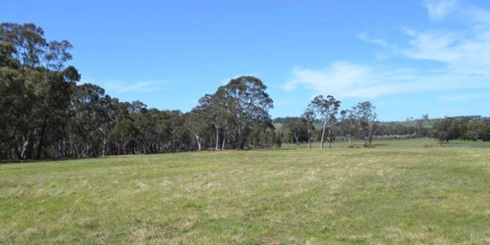 3053 Canyonleigh Road Sutton Forest, Forest - Thumbnail 6