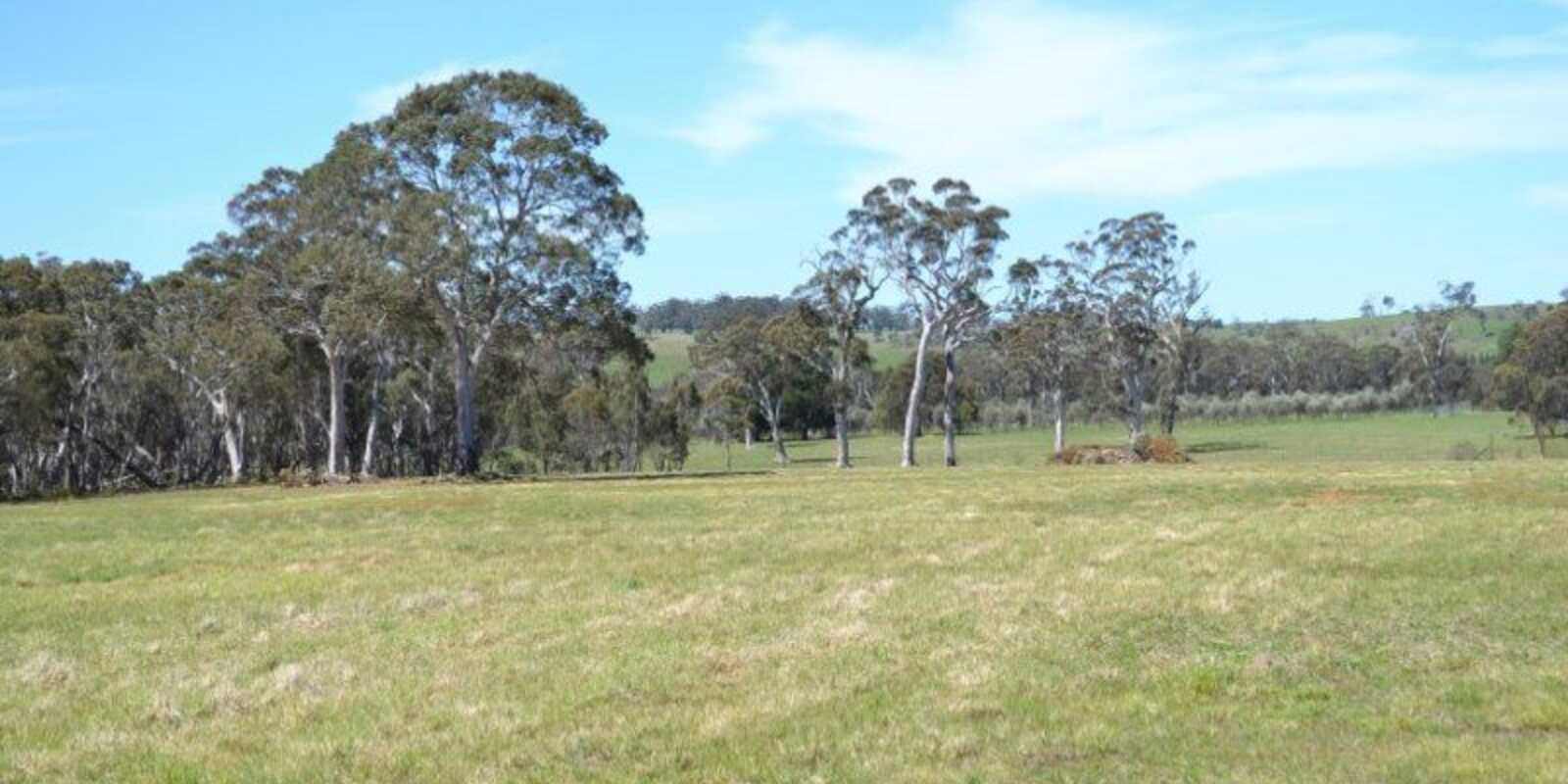 3053 Canyonleigh Road Sutton Forest, Forest - Thumbnail 7