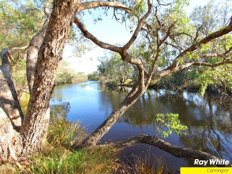 50B Marriamup Street, CANNINGTON WA 6107, Cannington - Thumbnail 4