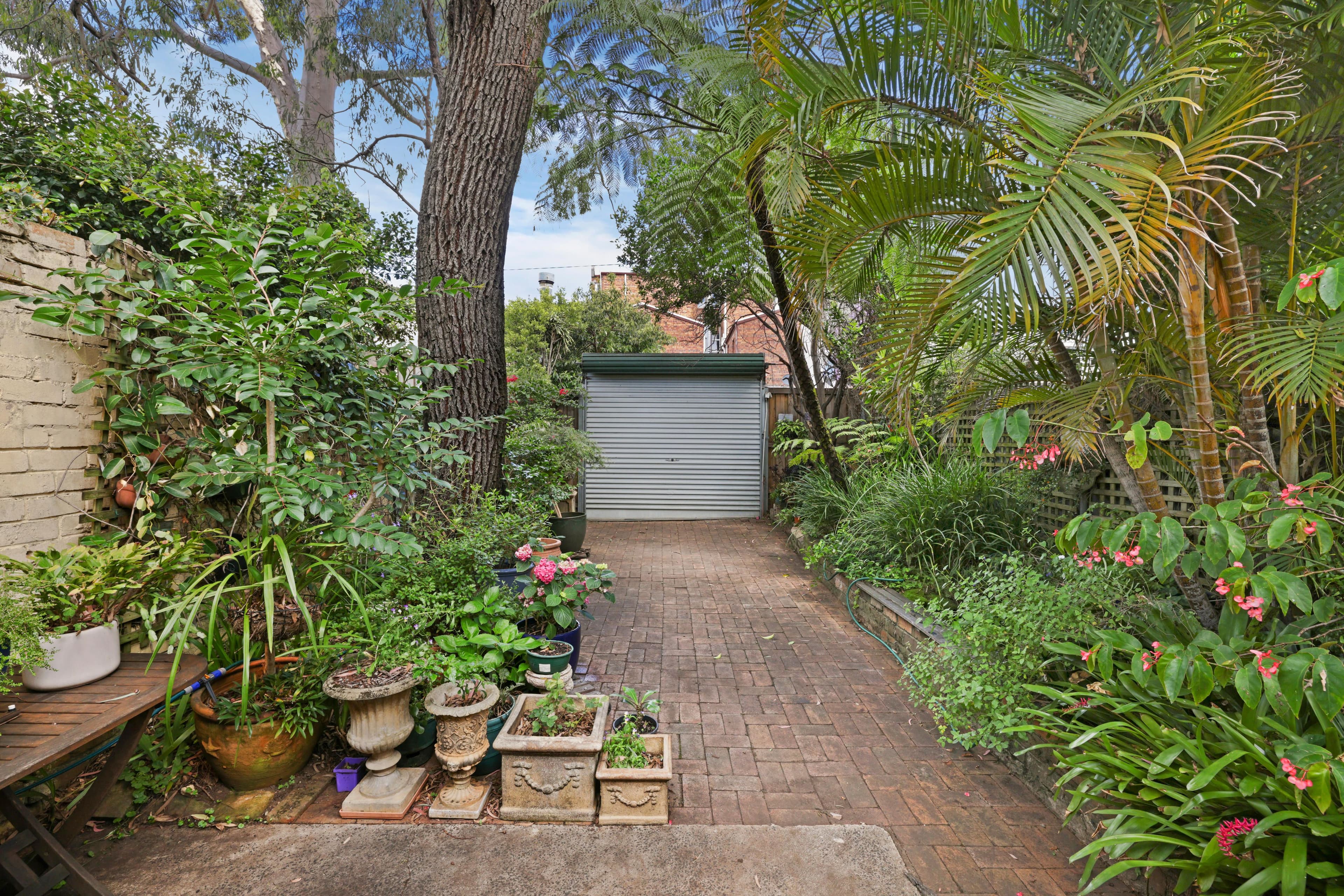 18 Belmore Street, Enmore NSW 2042, Enmore - Thumbnail 8