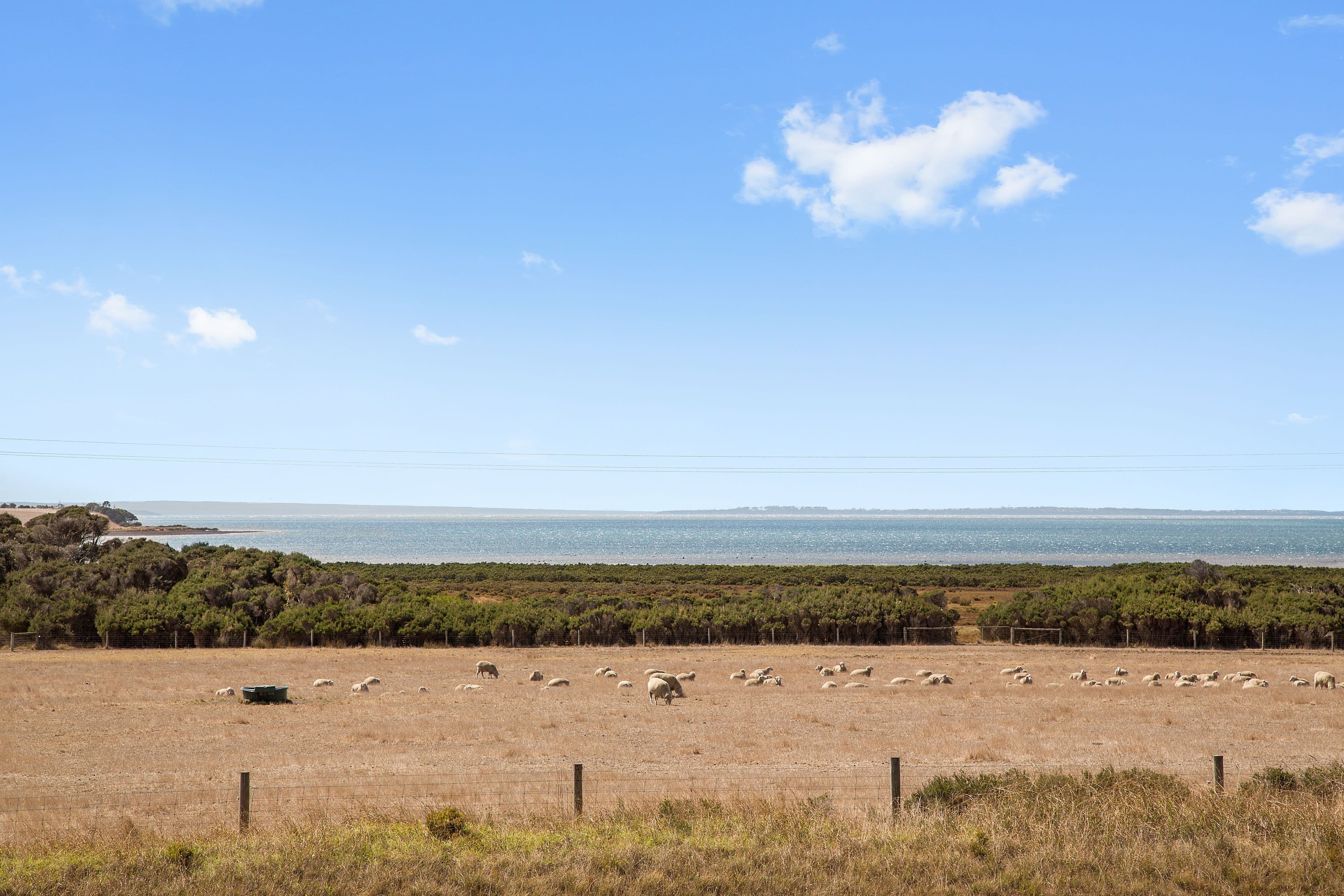 81-83 Phillip Island Road, Surf Beach VIC 3922, Surf Beach - Thumbnail 3