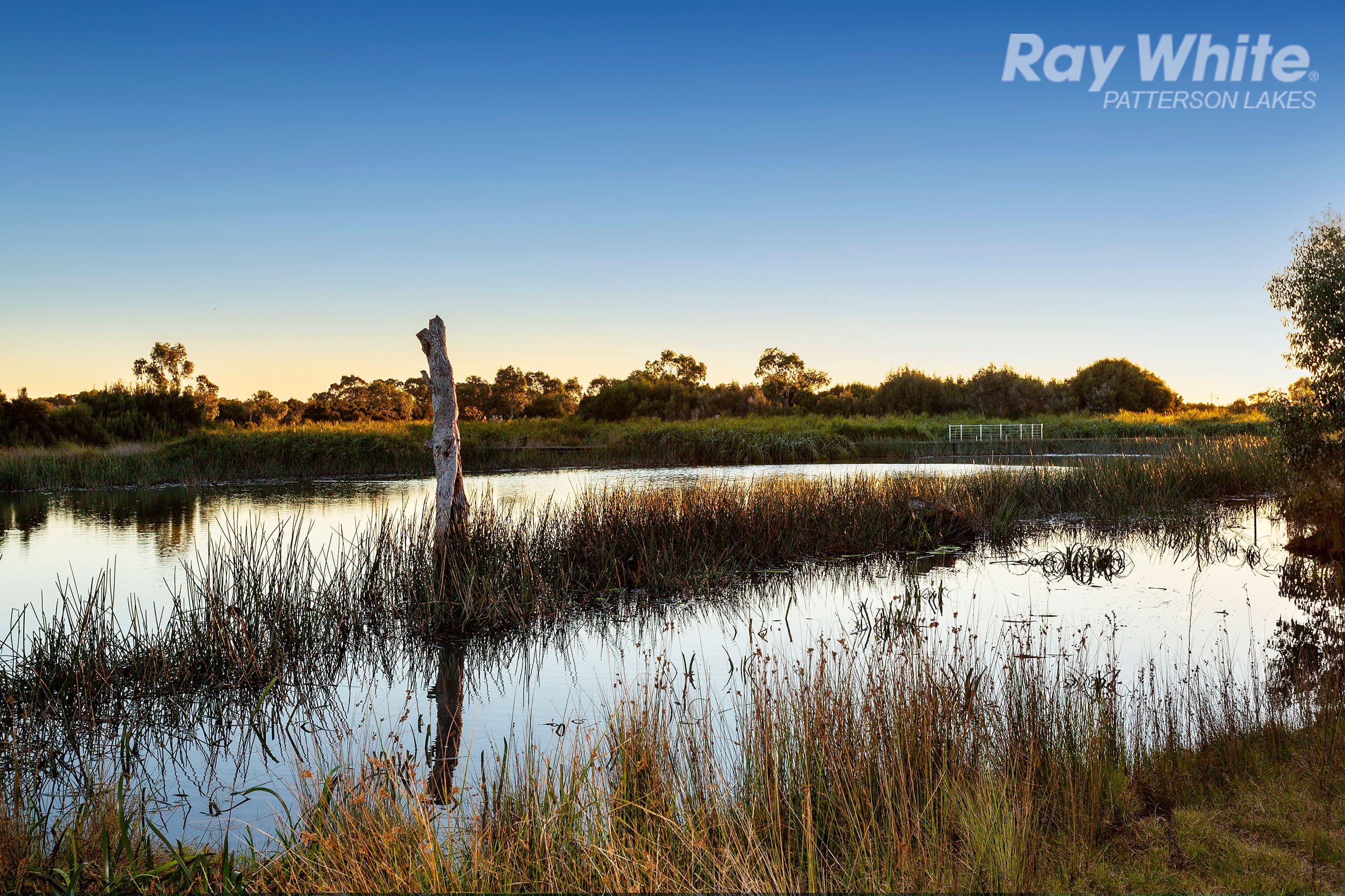 5 Starling Court, Waterways VIC 3195, Waterways - Thumbnail 5