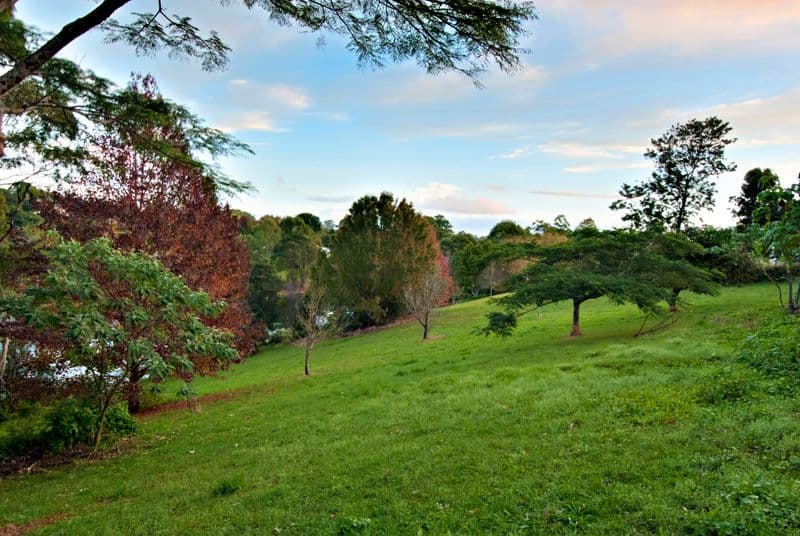 27 Allara Street, FLAXTON QLD 4560, Flaxton - Thumbnail 7