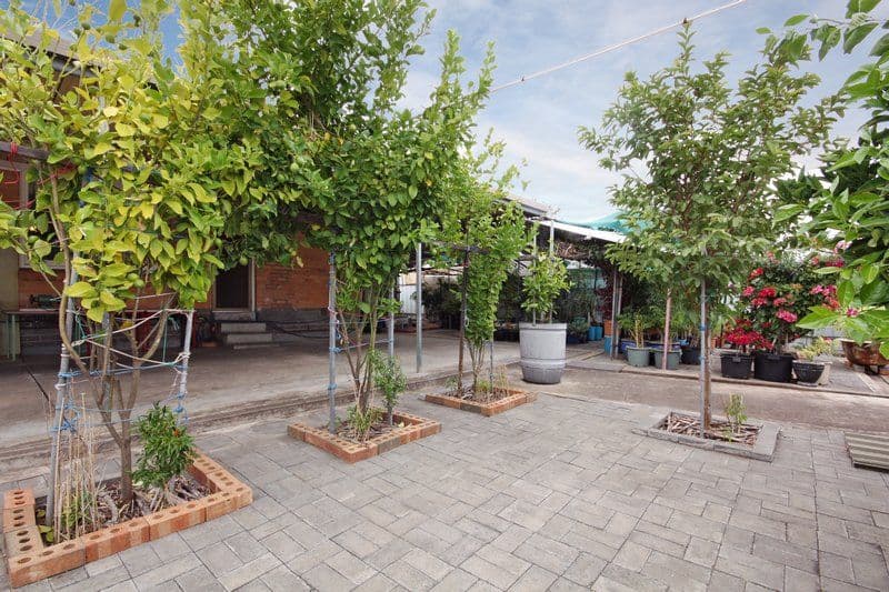 9 Lorilet Street, HOLDEN HILL SA 5088, Holden Hill - Thumbnail 8