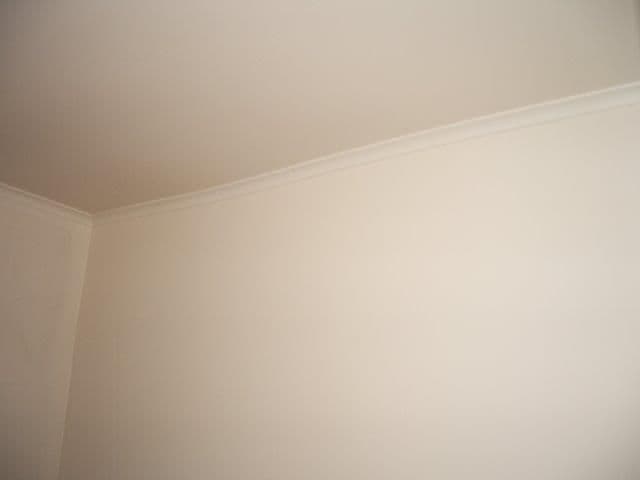 295 Chloride Street, BROKEN HILL NSW 2880, Broken Hill - Thumbnail 6