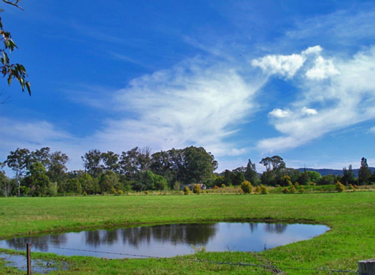 35 Mardi Road, MARDI NSW 2259, Mardi - Thumbnail 2