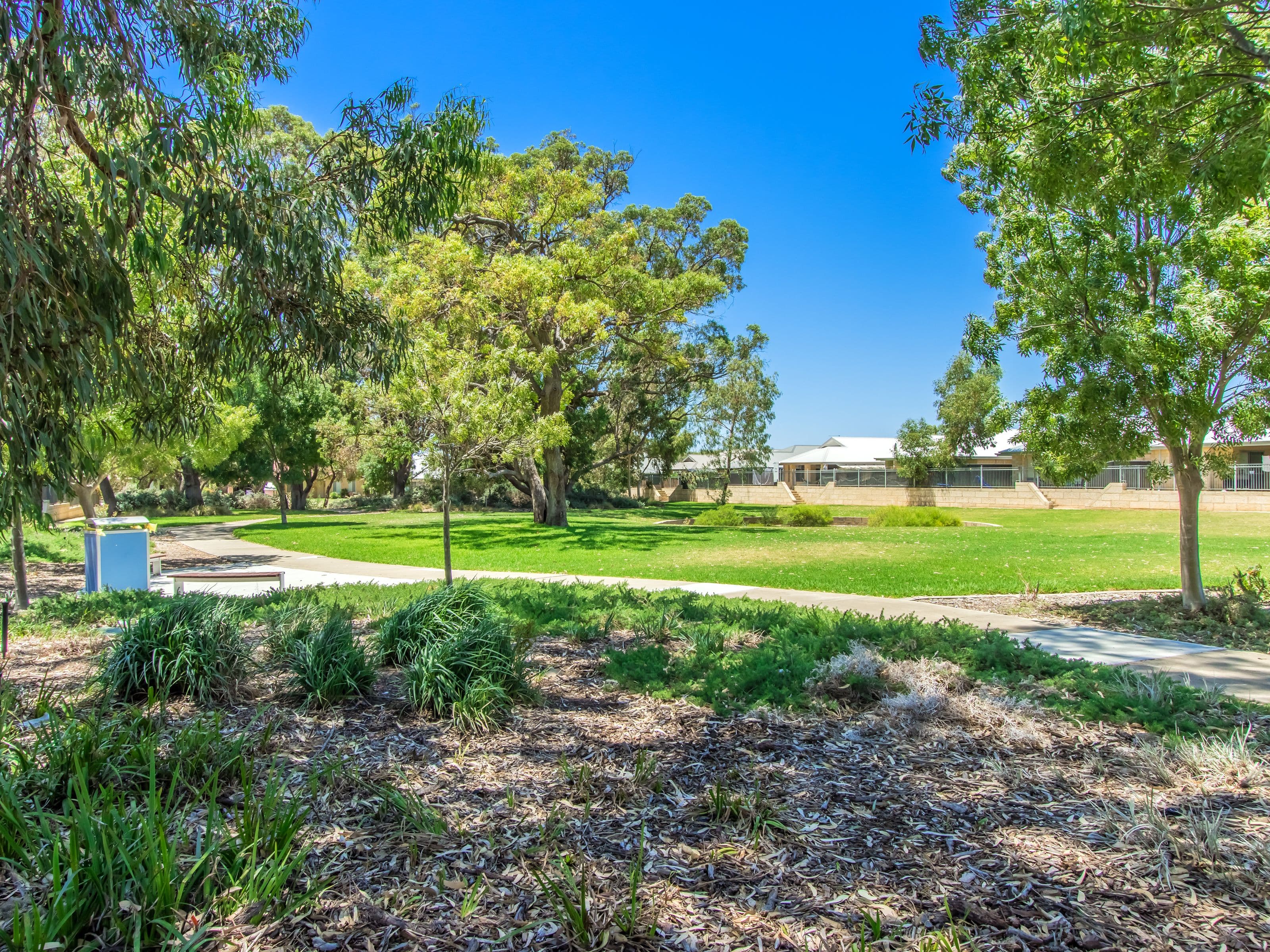 59 Chapel Street, Baldivis WA 6171, Baldivis - Thumbnail 4
