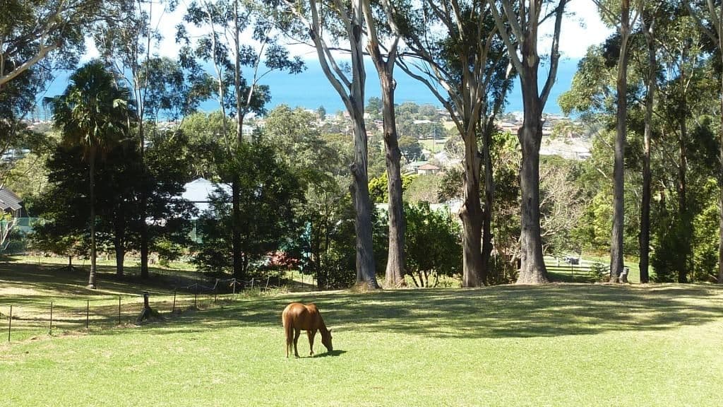55 Princes Highway, THIRROUL NSW 2515, Thirroul - Image 1