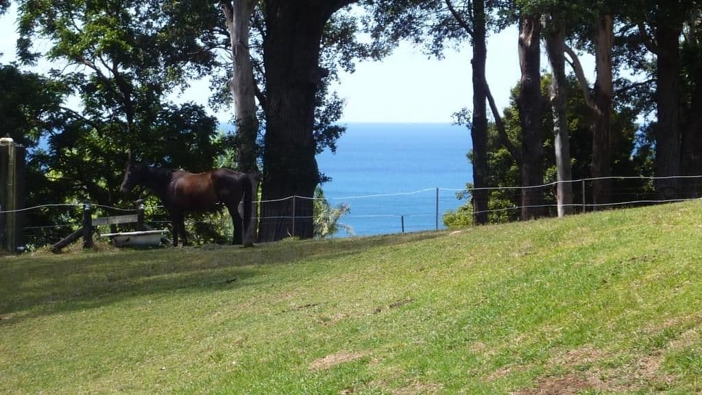 55 Princes Highway, THIRROUL NSW 2515, Thirroul - Thumbnail 7