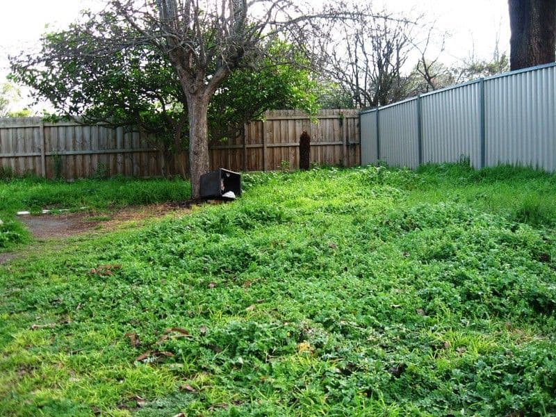 480 Steinhardts Road, Redgate, QLD, 4605, Redgate - Thumbnail 2