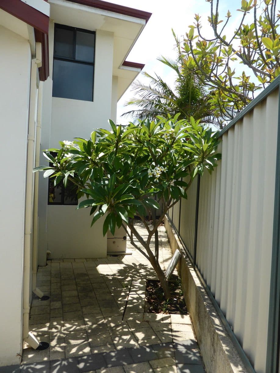 2A Patchett Street, Cloverdale WA 6105, Cloverdale - Thumbnail 3