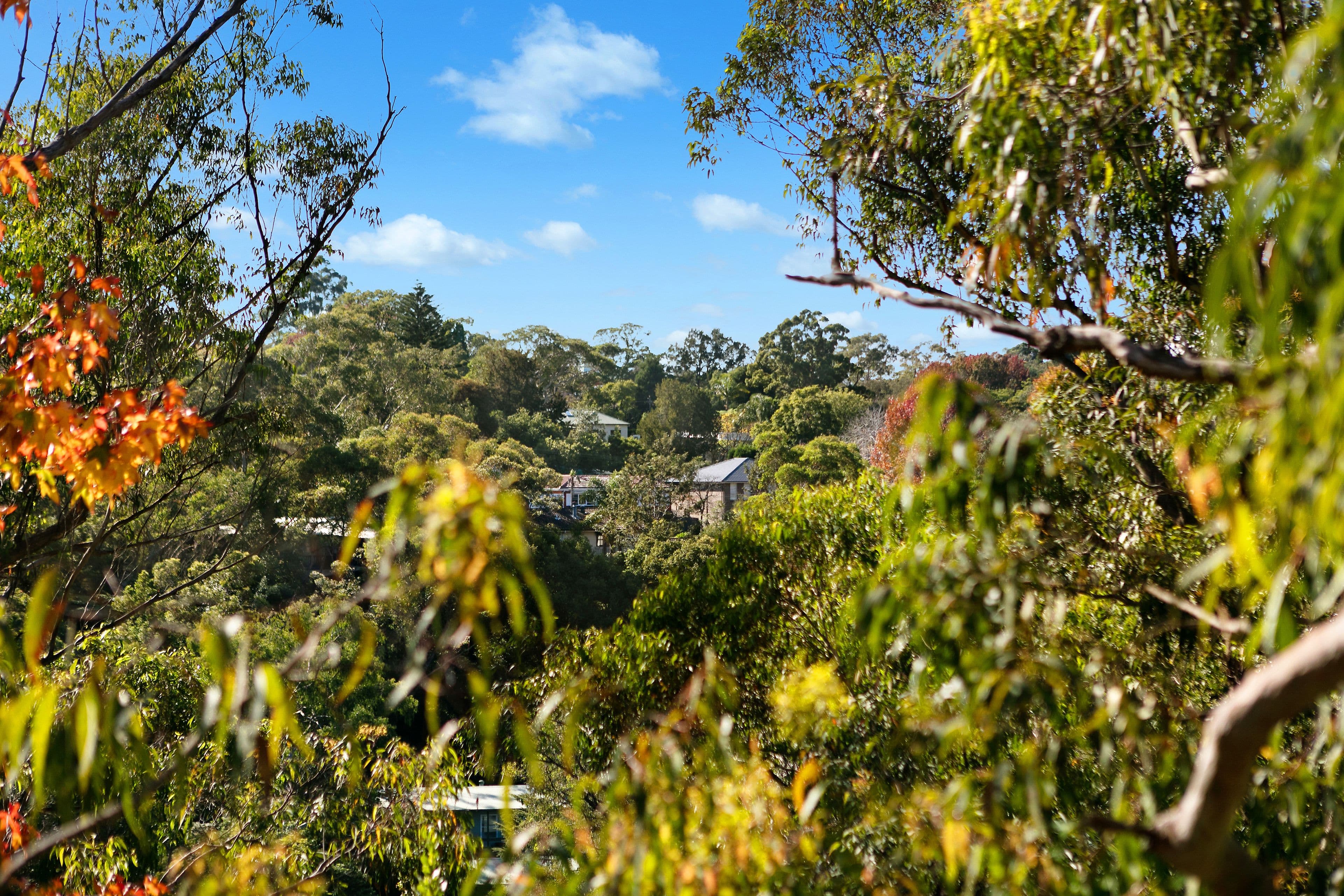19 Satterley Avenue, Turramurra - Thumbnail 7