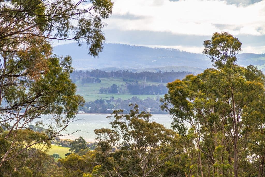 1199 Windermere Road, Swan Bay TAS 7252, Swan Bay - Image 1