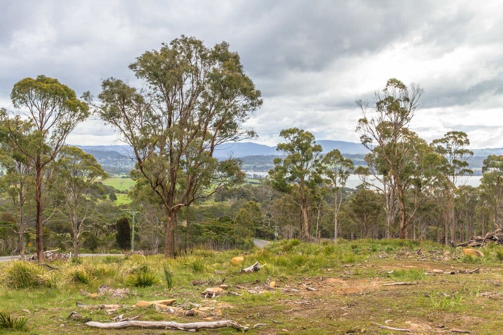1199 Windermere Road, Swan Bay TAS 7252, Swan Bay - Thumbnail 4