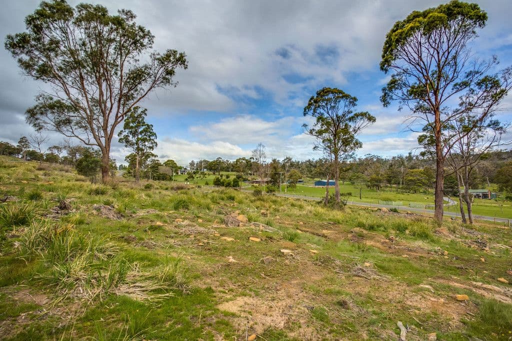 1199 Windermere Road, Swan Bay TAS 7252, Swan Bay - Thumbnail 6