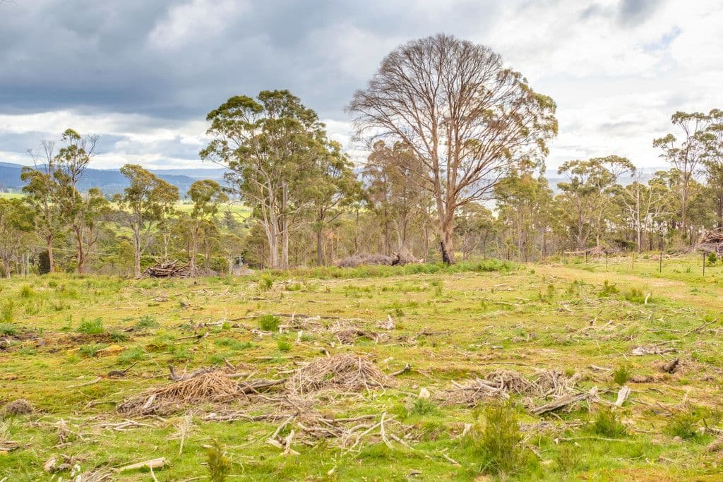 1199 Windermere Road, Swan Bay TAS 7252, Swan Bay - Thumbnail 7