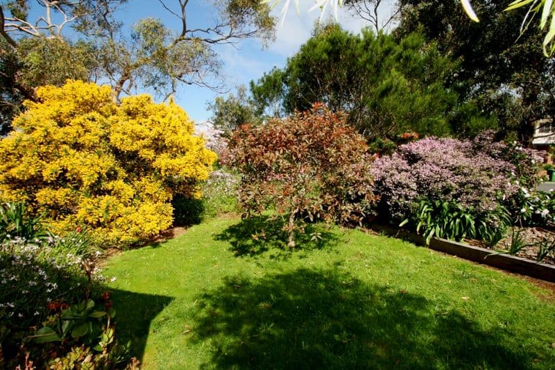 5 Boronia Court, COWES VIC 3922, Cowes - Thumbnail 3