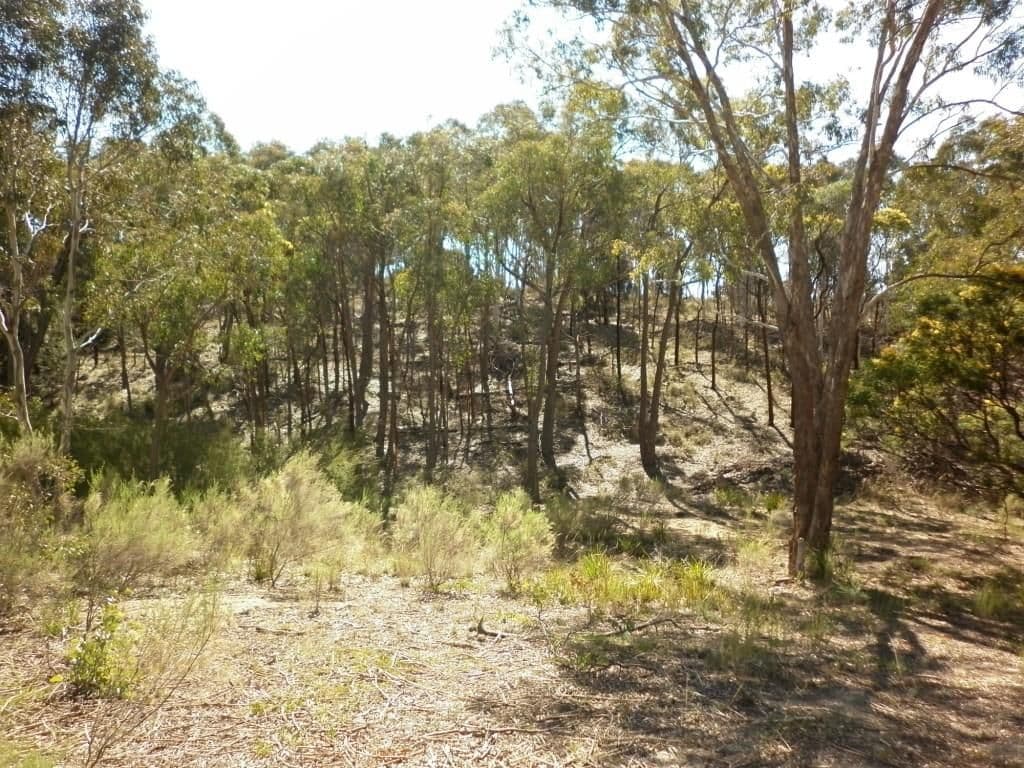 85 MCLELLANDS Road, GOULBURN NSW 2580, Goulburn - Thumbnail 2