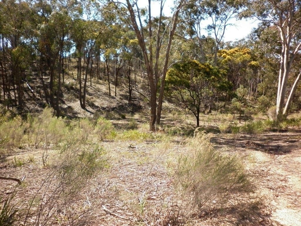 85 MCLELLANDS Road, GOULBURN NSW 2580, Goulburn - Thumbnail 3