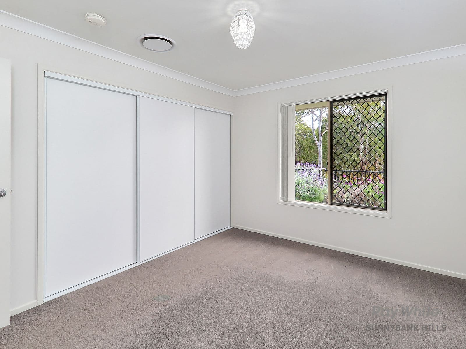14 Johnstone Place, Riverview QLD 4303, Riverview - Thumbnail 7