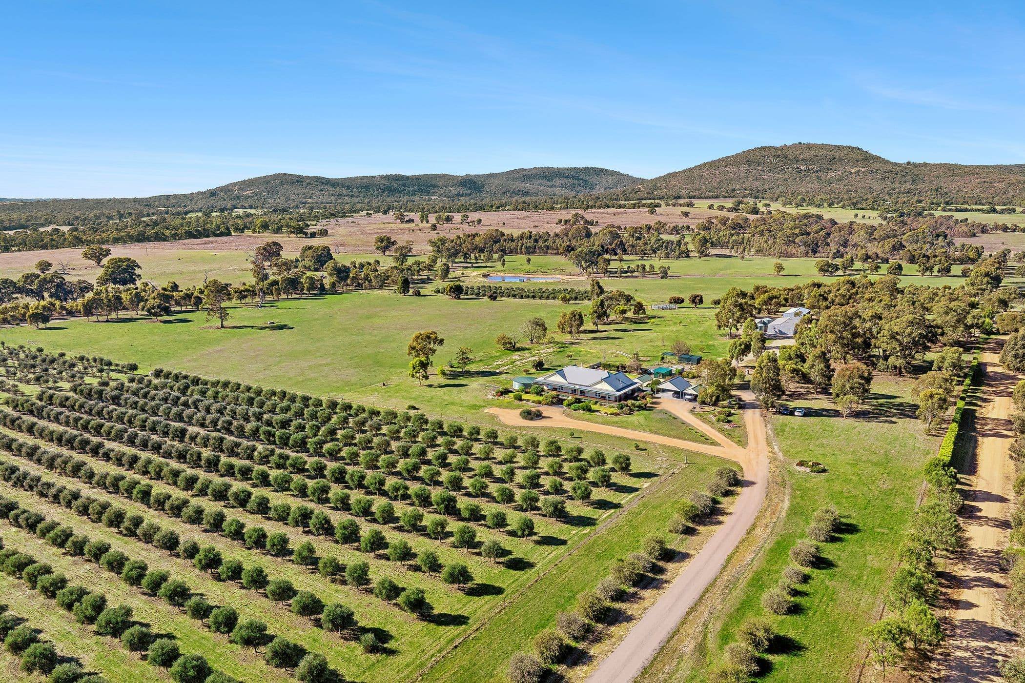 77 Liddell Road, BLACK RANGE VIC 3381, Black Range - Image 1
