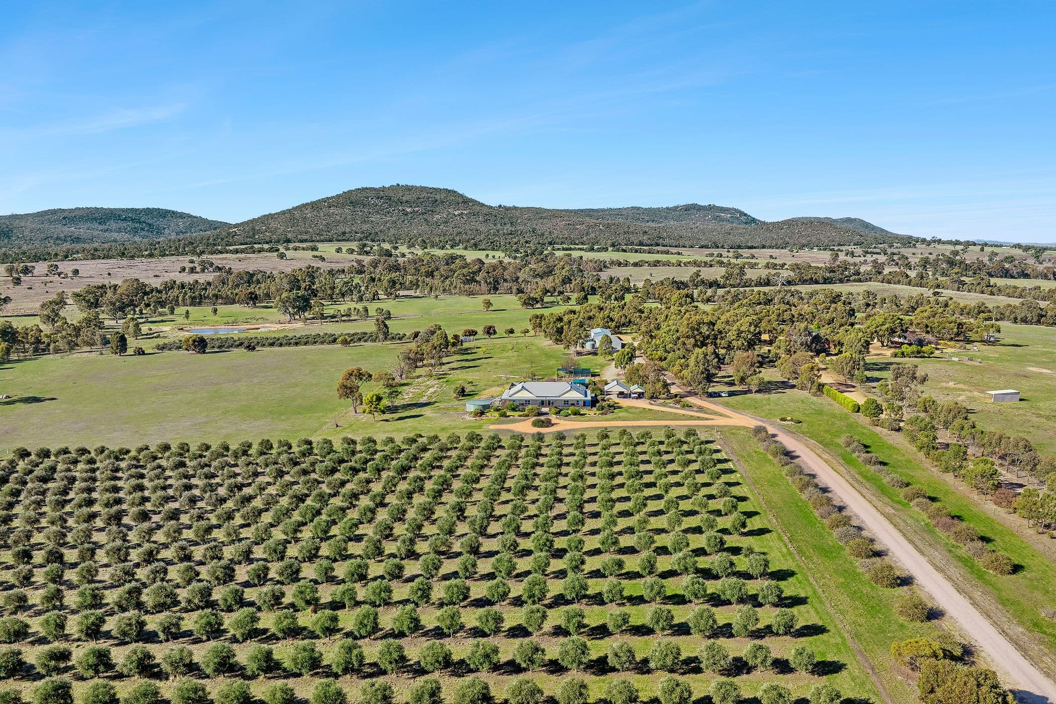 77 Liddell Road, BLACK RANGE VIC 3381, Black Range - Thumbnail 3