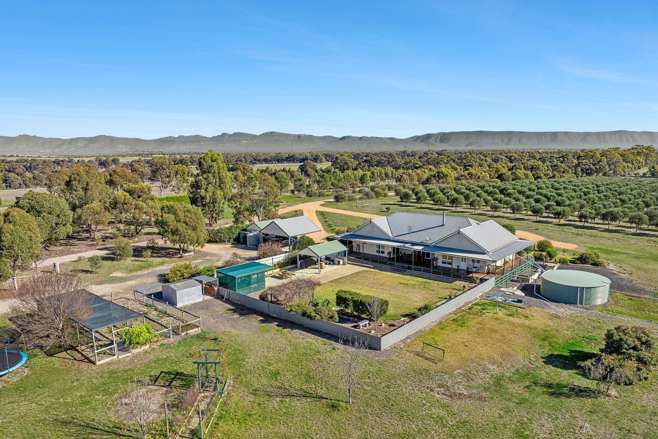 77 Liddell Road, BLACK RANGE VIC 3381, Black Range - Thumbnail 4