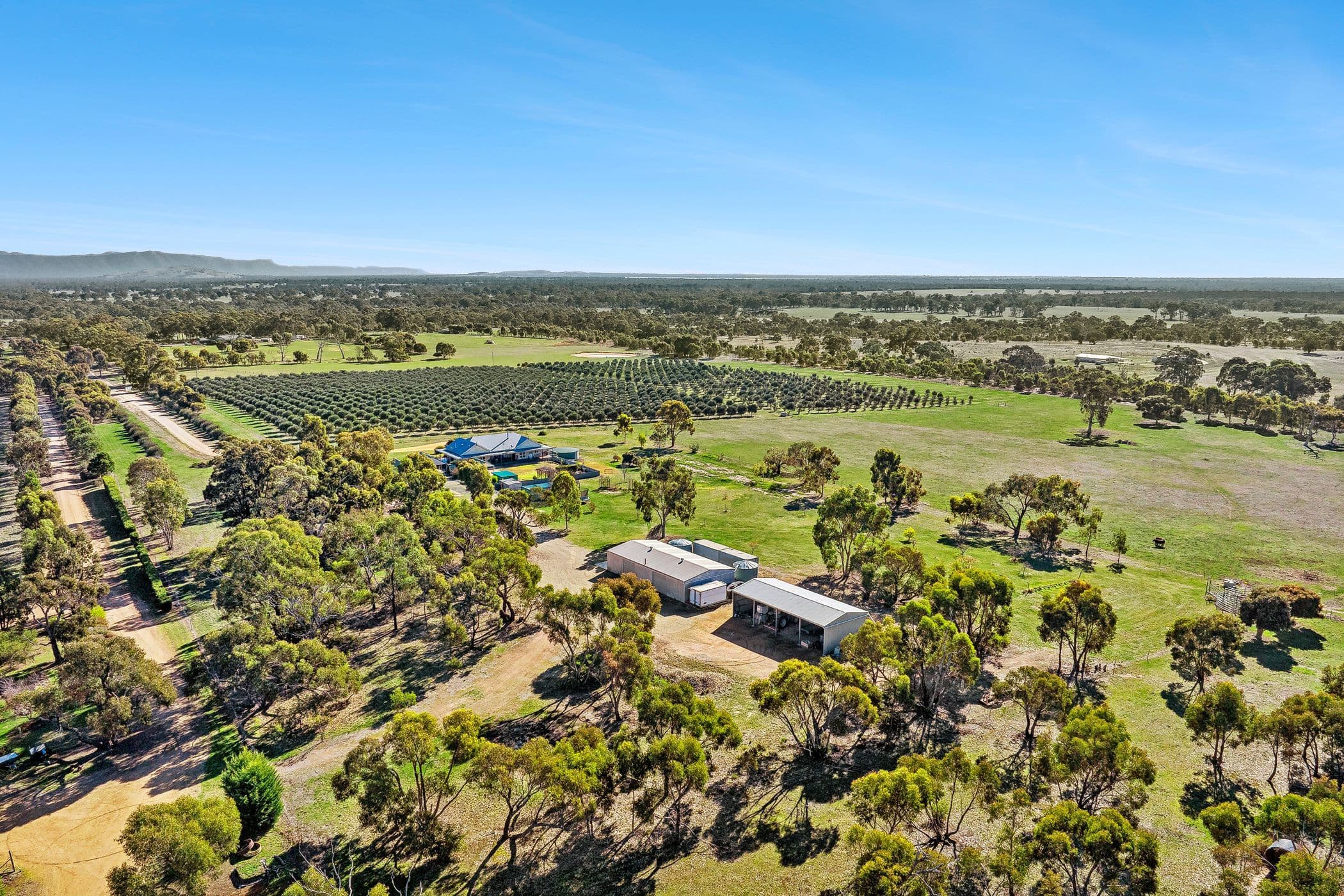 77 Liddell Road, BLACK RANGE VIC 3381, Black Range - Thumbnail 5