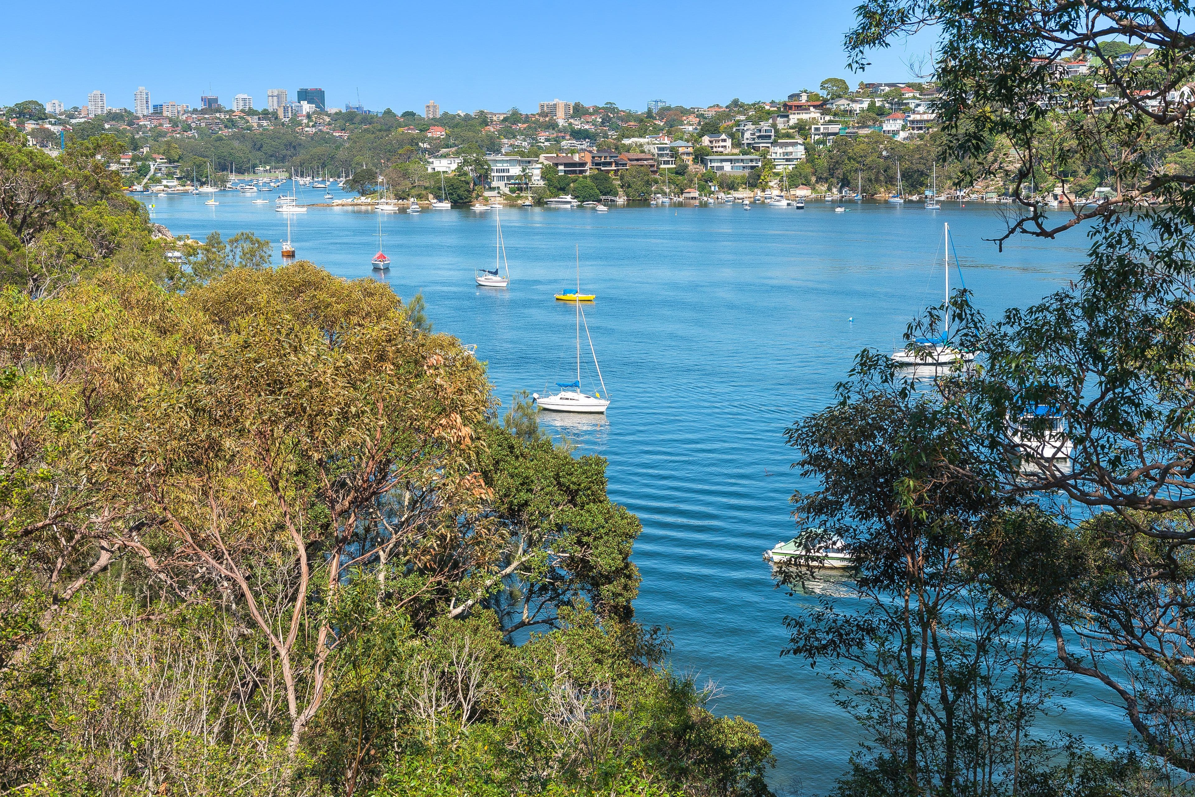 92 Bay Street, Mosman - Thumbnail 4