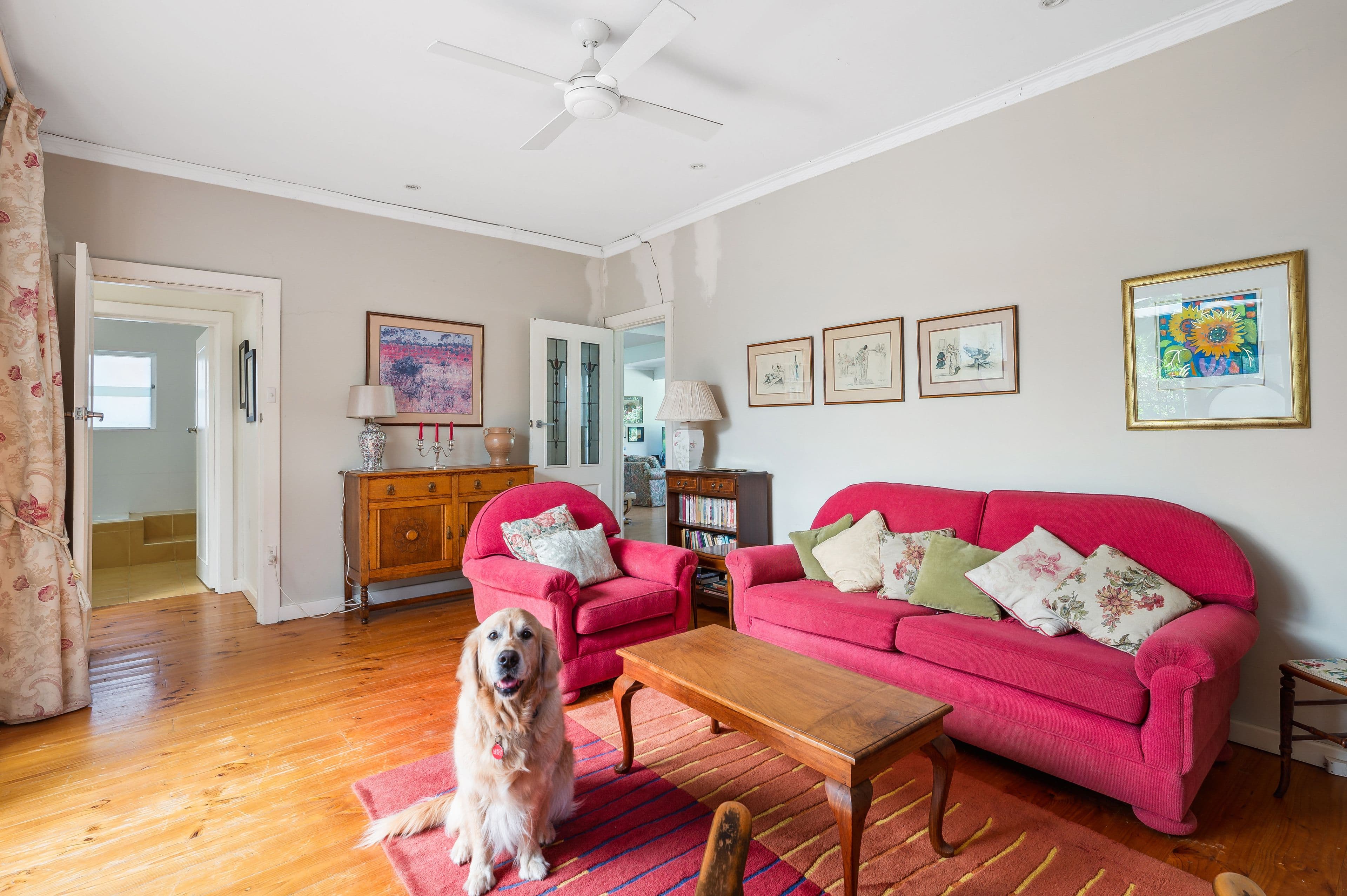 16 Lancelot Avenue, Hazelwood Park SA 5066, Hazelwood Park - Thumbnail 6