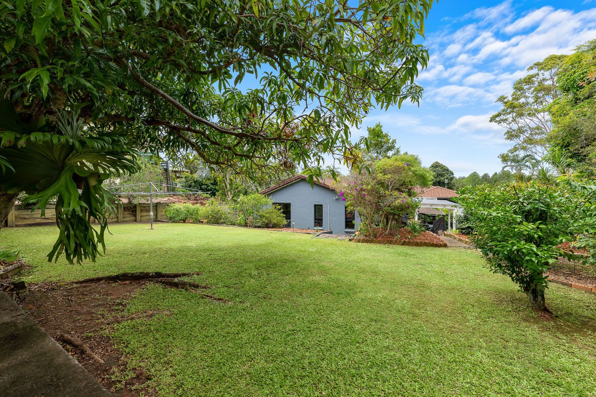 3 Cormorant Court, Bli Bli QLD 4560, Bli Bli - Image 1