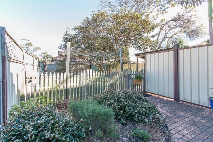 7A Kemp Street, The Junction NSW 2291, The Junction - Thumbnail 6