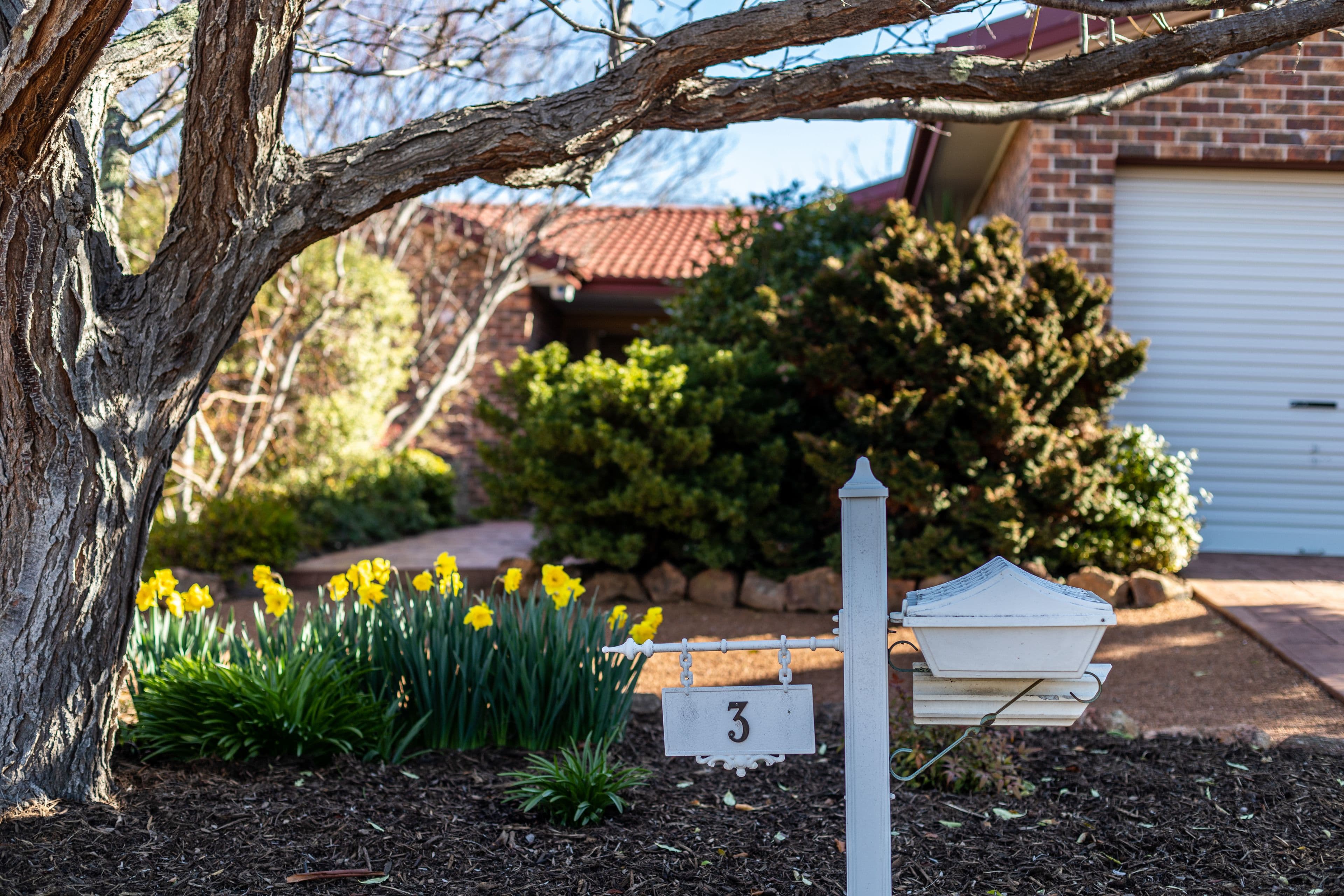 3 Tilley Place, McKellar ACT 2617, McKellar - Image 1
