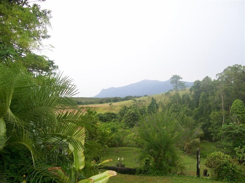 RP73 Jogo Road, Vasa Views, INNISFAIL QLD 4860, Innisfail - Image 1