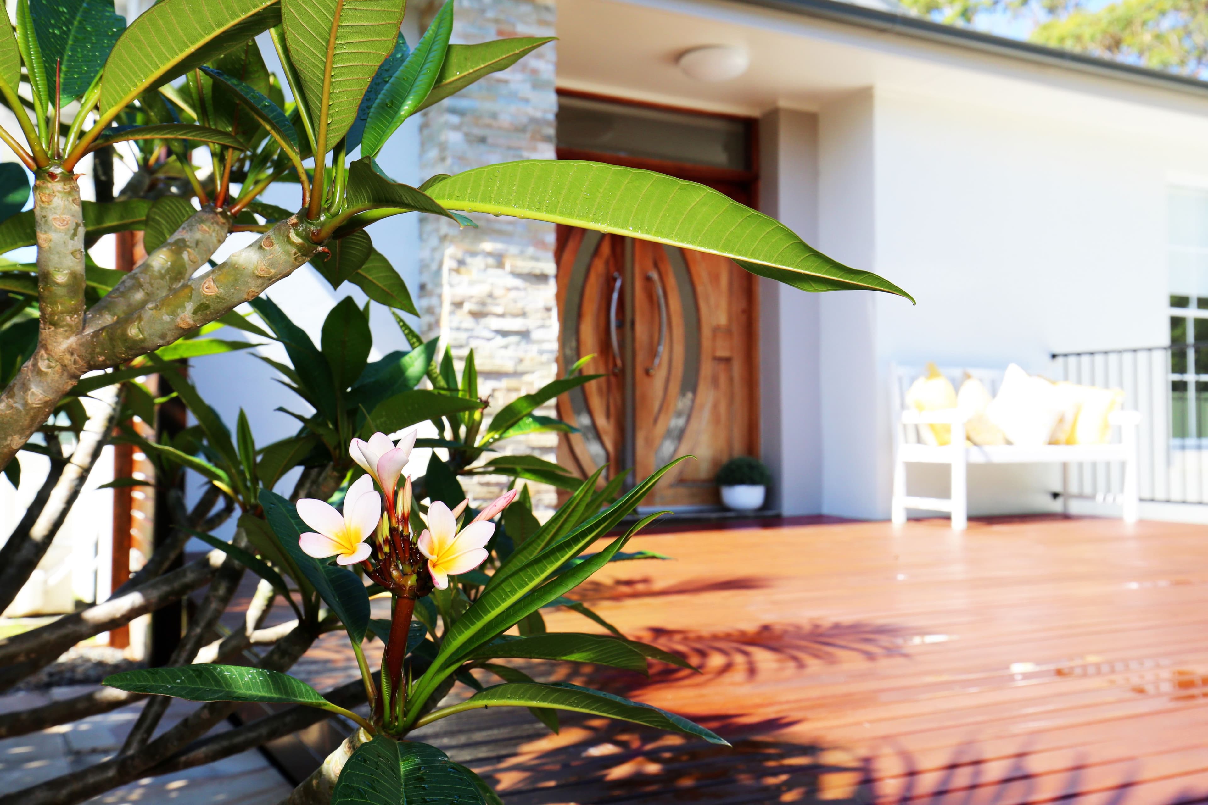 14 Park Row, Culburra Beach - Thumbnail 5