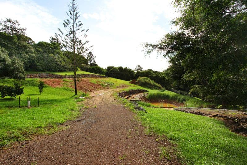 51 Kiel Mountain Road, WOOMBYE QLD 4559, Woombye - Thumbnail 4