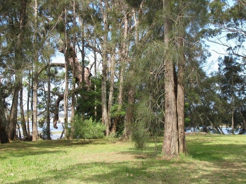 247 Annetts Parade, MOSSY POINT NSW 2537, Mossy Point - Thumbnail 3